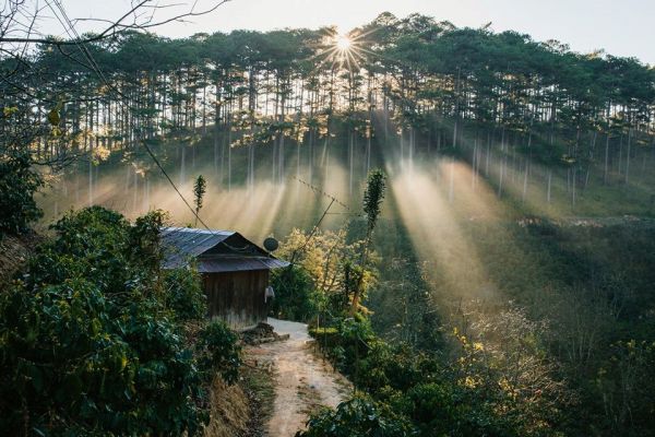 Vé máy bay đi Đà Lạt