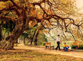 Vé máy bay Vietjet đi Hà Nội