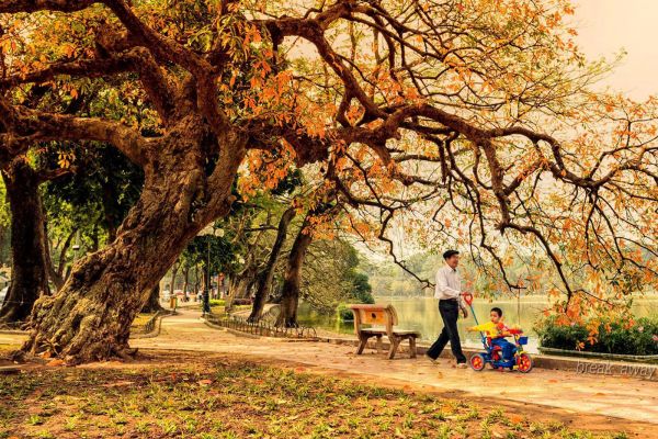 Vé máy bay Vietjet đi Hà Nội